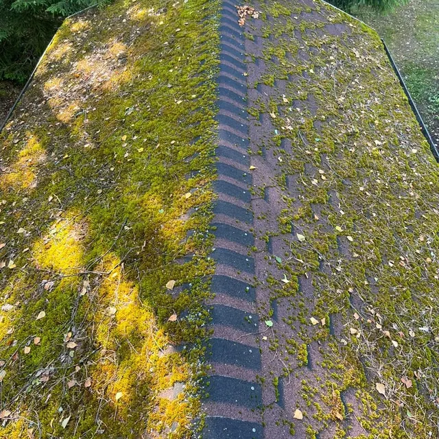 Bituminių čerpių stogas – prieš valymą