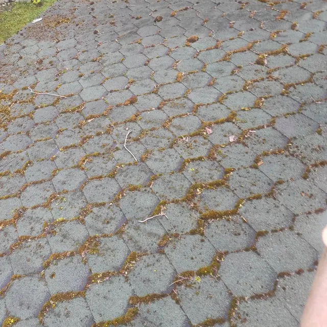 Šešiakampės trinkelės